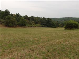 pohľad na časť lokality