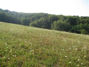 Celkový pohľad na lokalitu