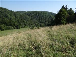 Pohľad na TML_6510_165