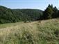 Nížinné a podhorské kosné lúky (9.8.2015)
