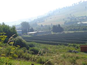 Závadka n. Hronom_ pôvodná lokalita biotopu 6230 pri pohľade z kopca nad solárnymi panelmi