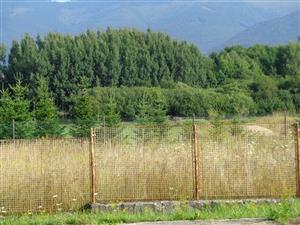 Závadka n. Hronom_pohľad na pôvodnú lokalitu biotopu 6230 od hlavnej cesty