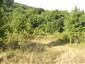 Suchomilné travinnobylinné a krovinové porasty na vápnitom podloží (*dôležité stanovištia Orchideaceae) (26.8.2013)