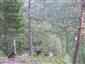 Reliktné vápnomilné borovicové a smrekovcové lesy (29.7.2014)