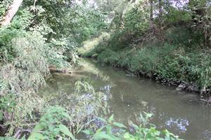 biotop vydry riečnej