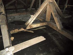 zvyšky starého netopierieho trusu v podkroví