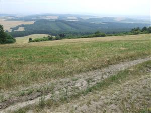 Vinica, pohľad na JV svahy