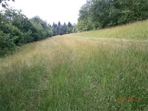 Západná časť lokality