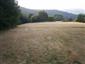 Nížinné a podhorské kosné lúky (4.7.2015)