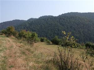 pokosená časť biotopu