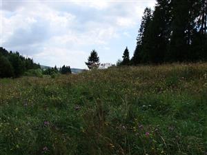 pohľad na lokalitu (VJ smer)