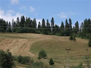 pohľad na TML- kosená časť