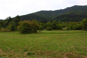 kosená časť plochy