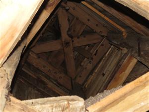 Časť kolónie Rhinolophus hipposideros