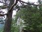 Reliktné vápnomilné borovicové a smrekovcové lesy (30.7.2014)