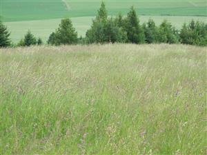 Kyslé lúky nad Hranovnicou