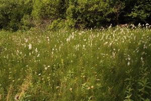 pohľad na S enklávu