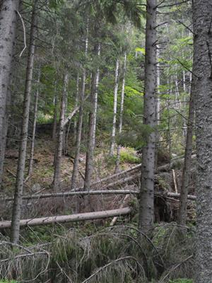 Pohľad na lokalitu