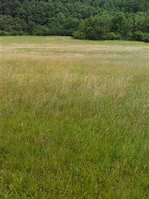 Záber na monitorovaný biotop.