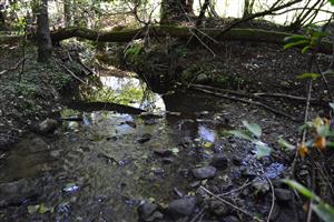 TML 012 na potoku Svarín v strednej časti, napriek deficitu zrážok je stabilný prietok, pohľad proti prúdu