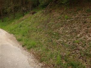 celkový pohľad, horná časť