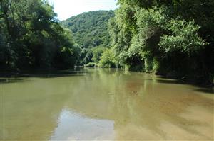 Leľa, štrková lavica v dolnej časti TML, sediment je vhodným substrátom pre druhy čeľade Gomphidae 