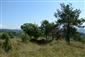 Suchomilné travinnobylinné a krovinové porasty na vápnitom podloží (*dôležité stanovištia Orchideaceae) (20.8.2015)