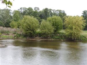 Rieka Morava 70,0 rkm