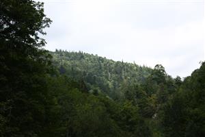 Pohľad na TMP - prales Obrštín