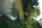 Záhorce-Selešťany, Ipeľ, naf TML, Fekete víz (Čierny kút), prístupná časť koryta s habitátom Gomphidae