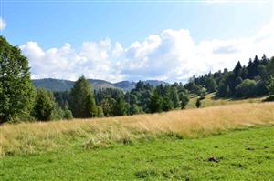 kosená a nekosená časť