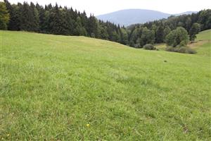 celkový pohľad na TML