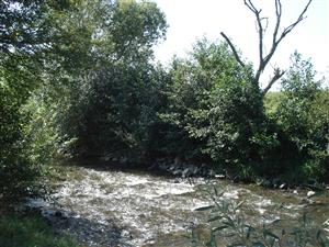 Začiatok negatívnej TML (Bidention) na rieke Rimava pri Rimavských Jánovciach.