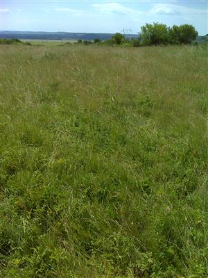 Záber na monitorovaný biotop.