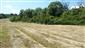 kobylka Štysova (16.7.2015)