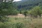 kobylka Štysova (14.7.2015)