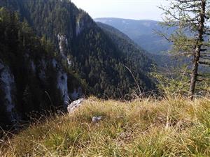 lokalita