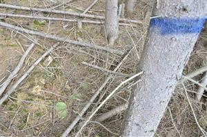 lokalita