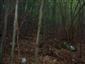 Vápnomilné bukové lesy (4.9.2014)