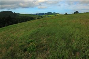 Pohľad na Z časť lokality