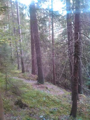 Liptovská teplička-Ždiarska dolina