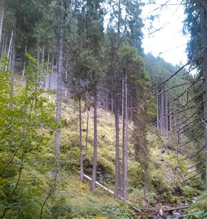 Liptovská Teplička - Ždiarska dolina2