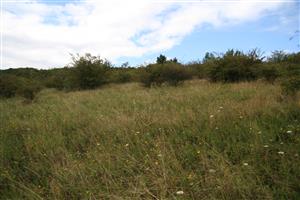 Záber na časť lokality, doplnkové fotenie v auguste