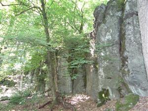 Pohľad na TML_8220_061