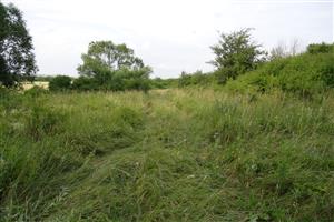 Celkový pohľad na prvú z dvojice menších lúk. Druhá suchšia lúka je vzadu za krovinami. 