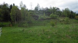 Pohľad z úpätia svahu - enklávy vresových porastov pri ochr. pásme 110kV vedenia. Foto jar 2016