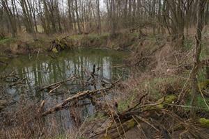 Opustený castorland