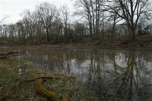 pleistocenný meander