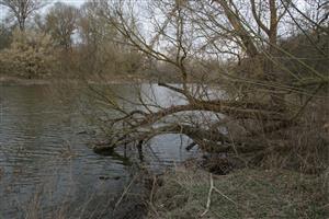 Odrezaný meander