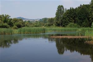 TML_Markušovce
